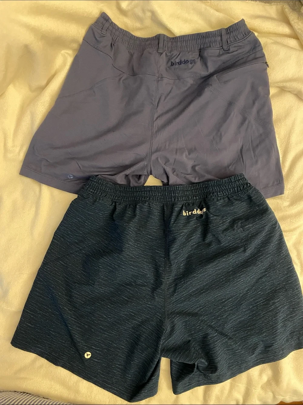 Birddogs Navy and TealAthletic Shorts Set